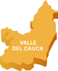 Valle del cauca